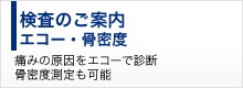 検査のご案内 エコー・骨密度（痛みの原因をエコーで診断骨密度測定も可能）